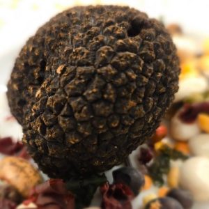 mona-food-truffle-edmonton-10